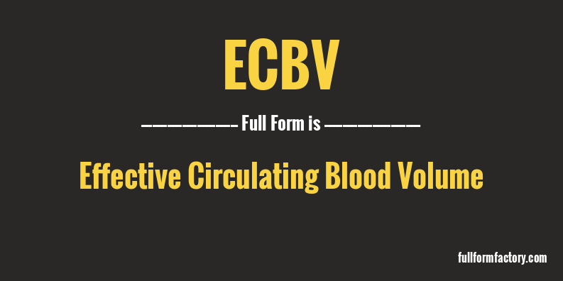 ecbv-full-form