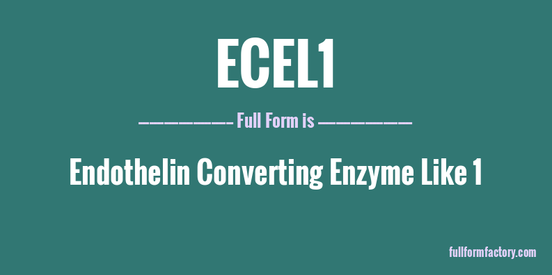 ecel1-full-form
