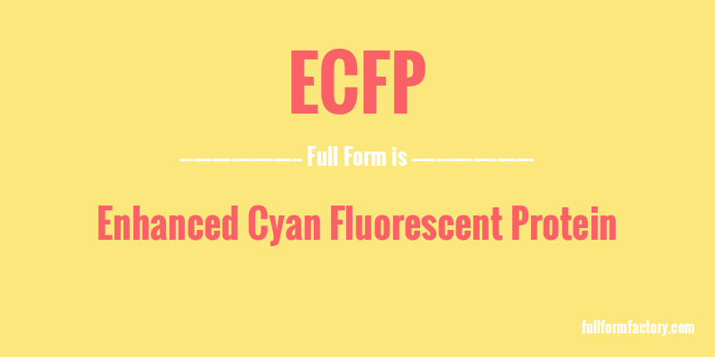 ecfp-full-form