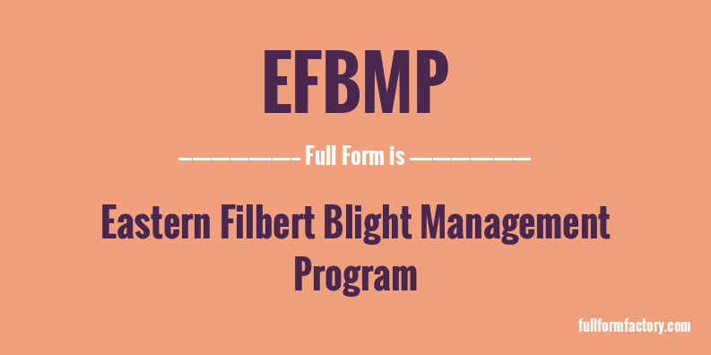 efbmp-full-form