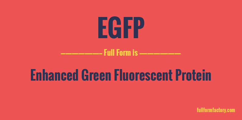 egfp-full-form