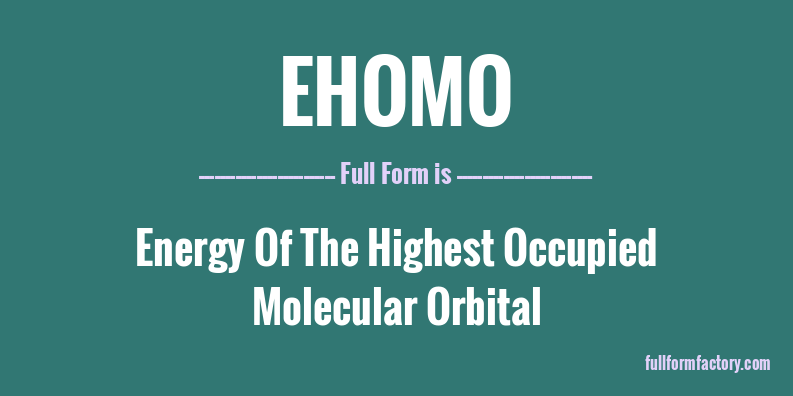 ehomo-full-form