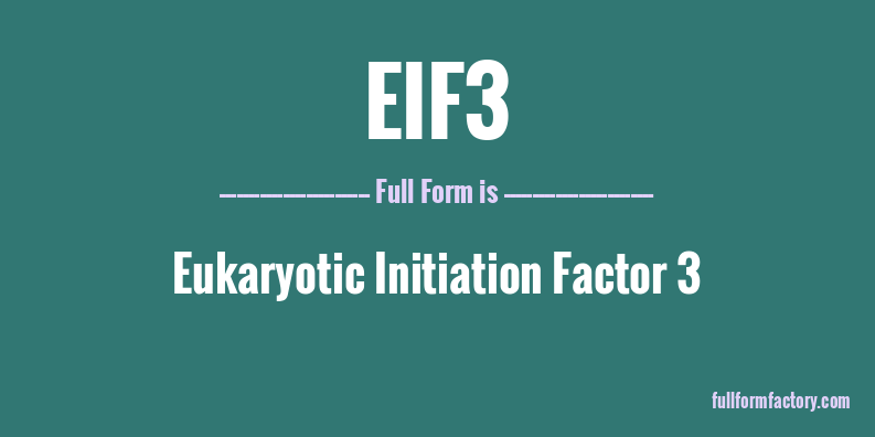 eif3-full-form