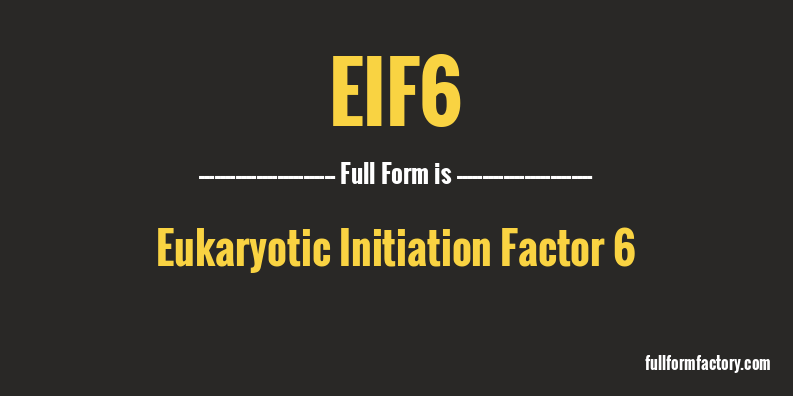eif6-full-form