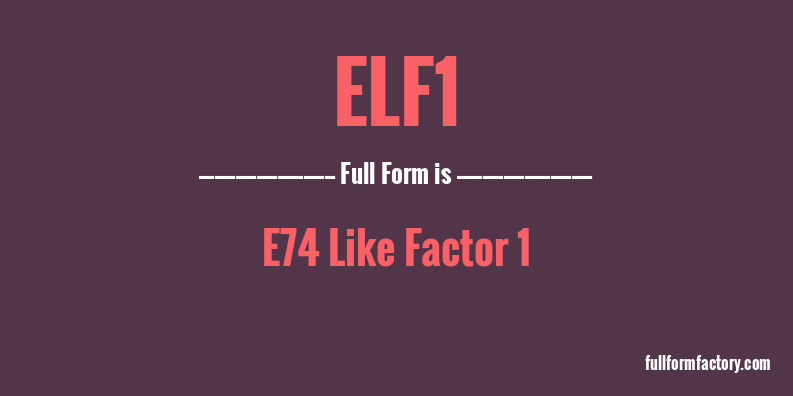 elf1-full-form