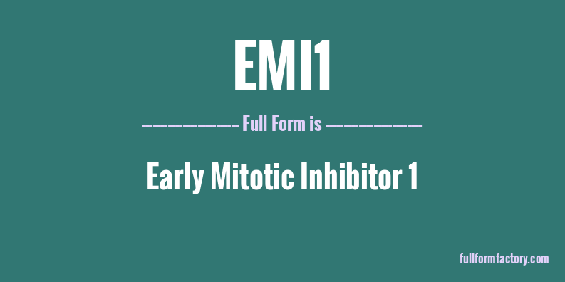 emi1-full-form