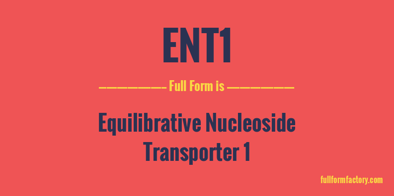ent1-full-form