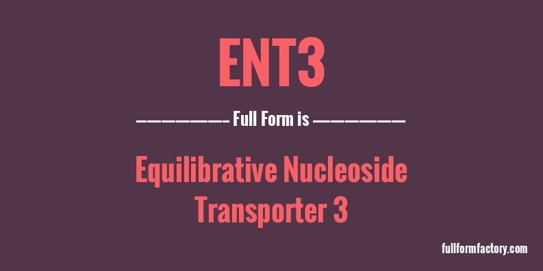 ent3-full-form
