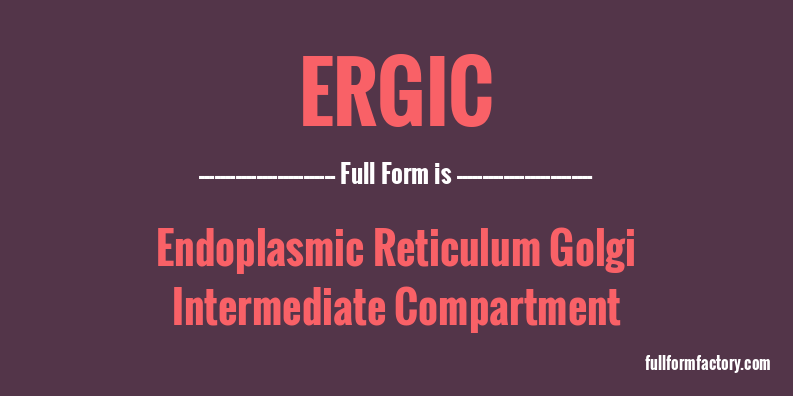 ergic-full-form