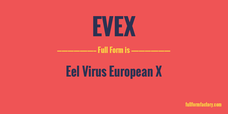 evex-full-form
