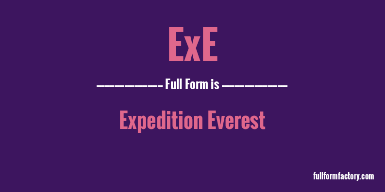 exe-full-form