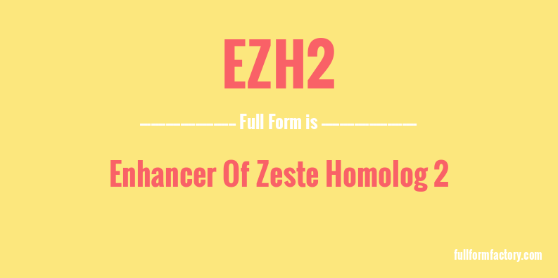 ezh2-full-form