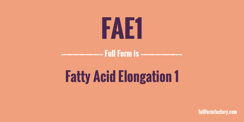 fae1-full-form