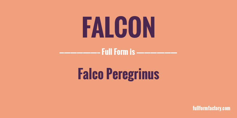 falcon-full-form