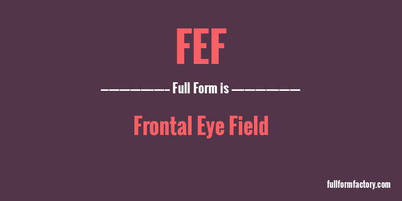 fef-full-form