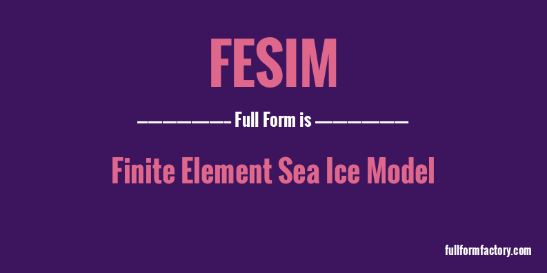 fesim-full-form
