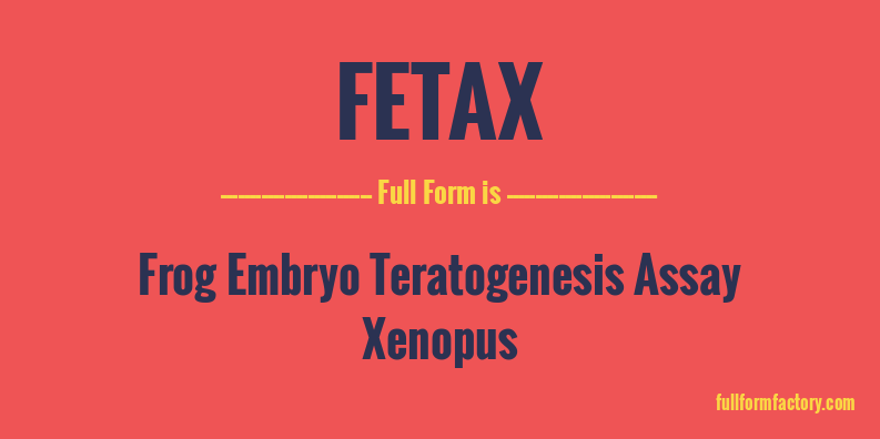 fetax-full-form