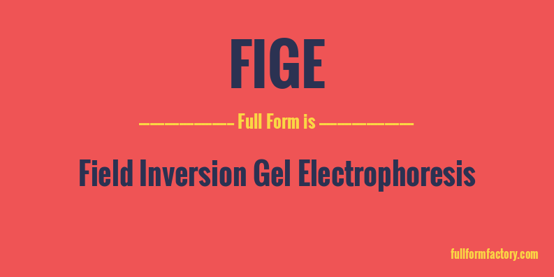 fige-full-form