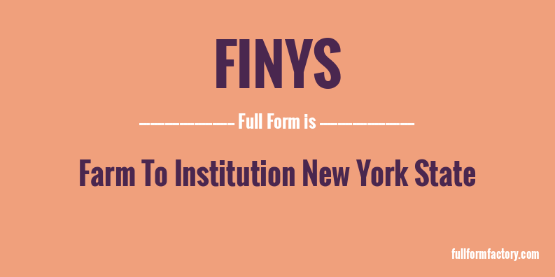 finys-full-form