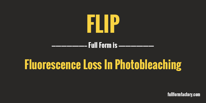 flip-full-form
