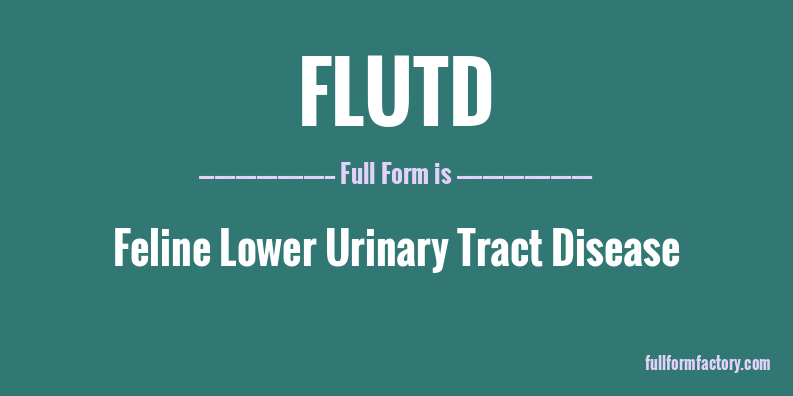 flutd-full-form