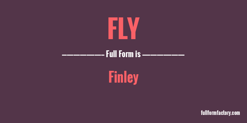 fly-symbolism-and-meaning-you-need-to-move-quickly