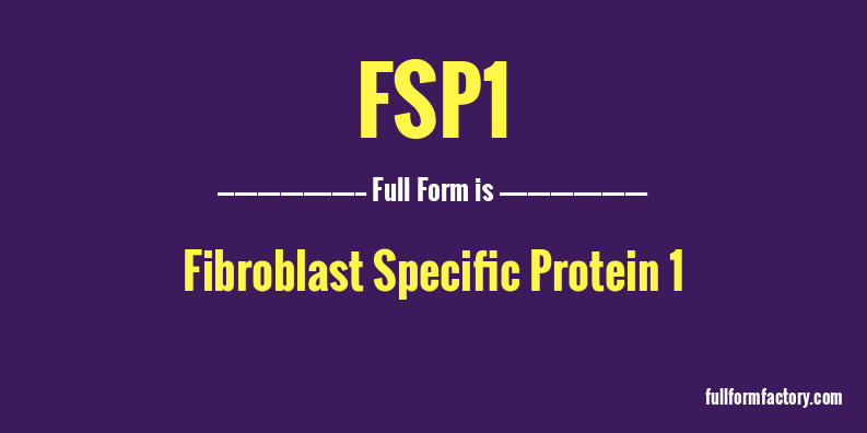 fsp1-full-form