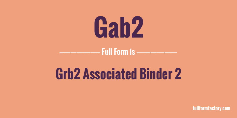gab2-full-form