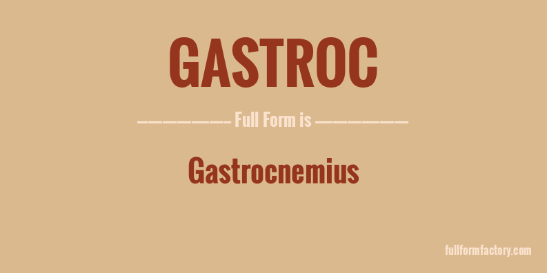 gastroc-full-form