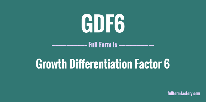 gdf6-full-form