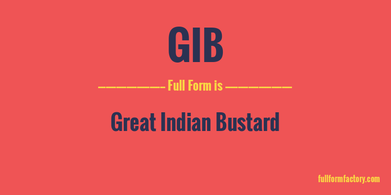 gib-full-form