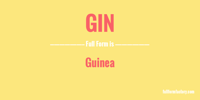 gin-full-form