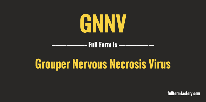 gnnv-full-form