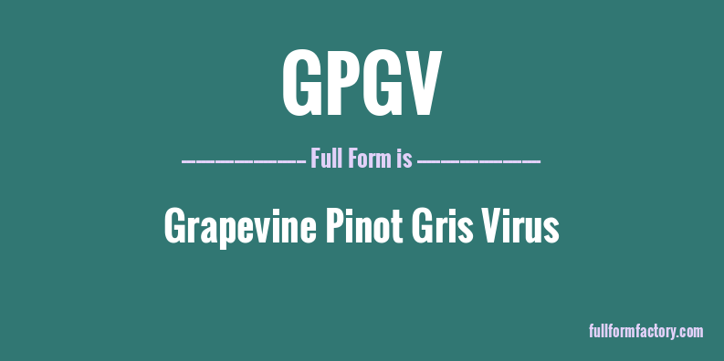 gpgv-full-form