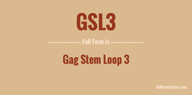 gsl3-full-form