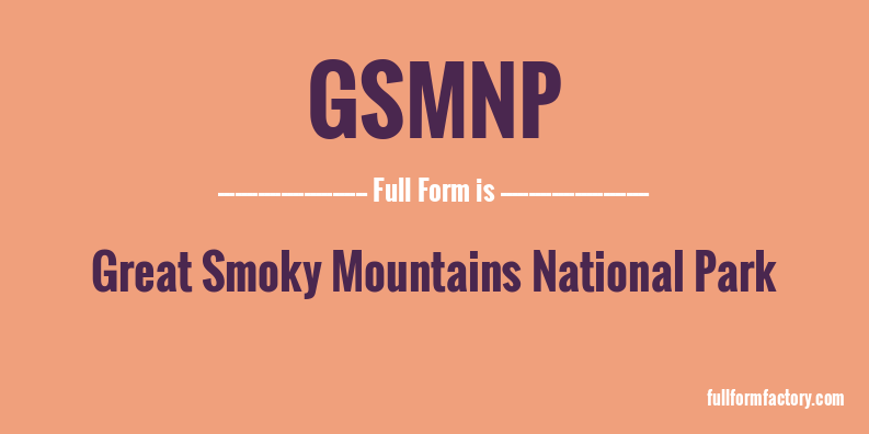 gsmnp-full-form