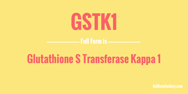 gstk1-full-form