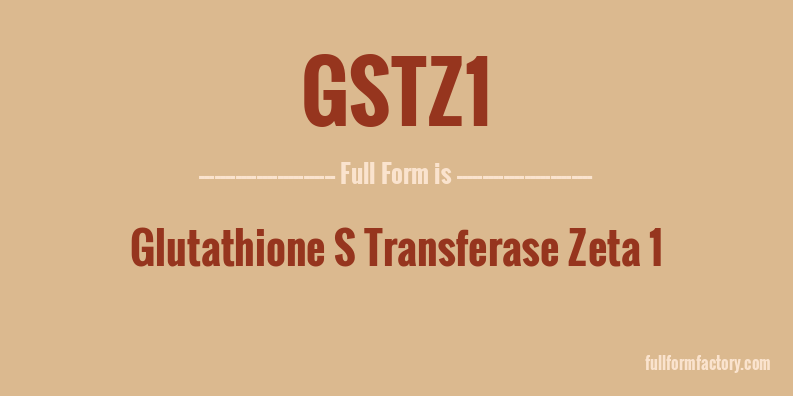 gstz1-full-form