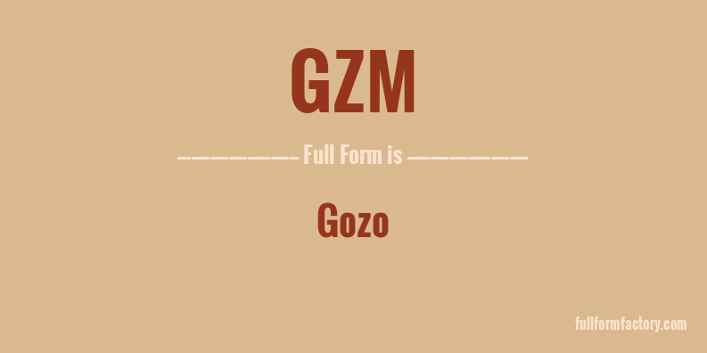 gzm-full-form