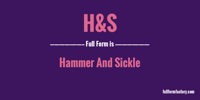 h&s-full-form