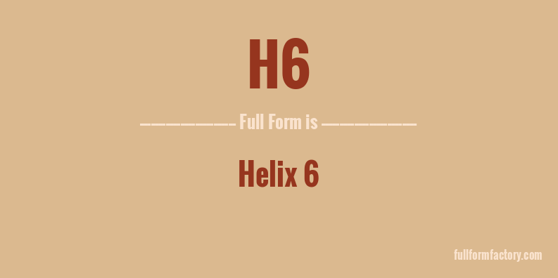 h6-full-form