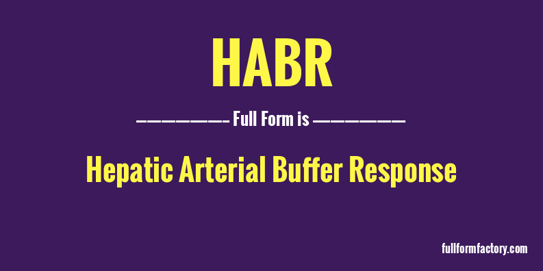 habr-full-form