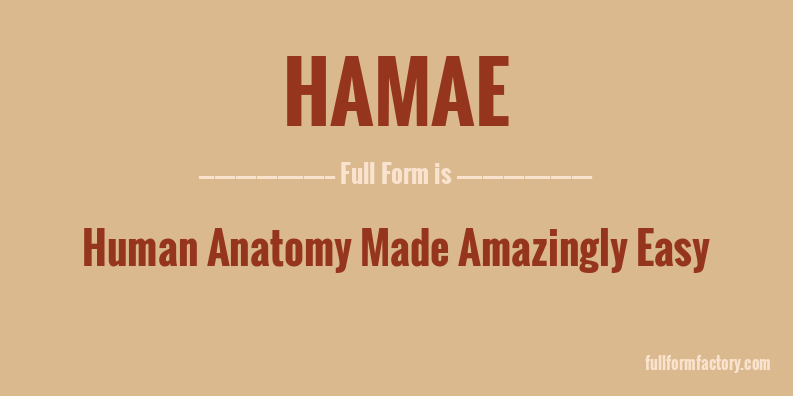 hamae-full-form