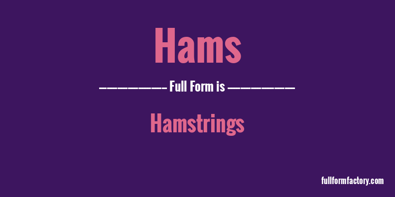 hams-full-form