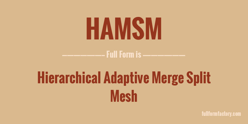 hamsm-full-form