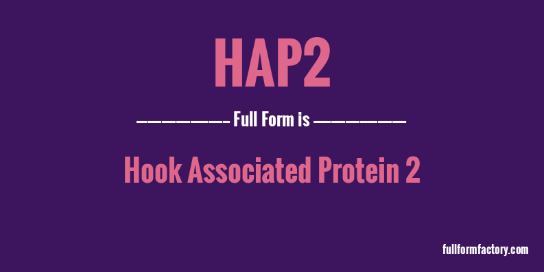 hap2-full-form