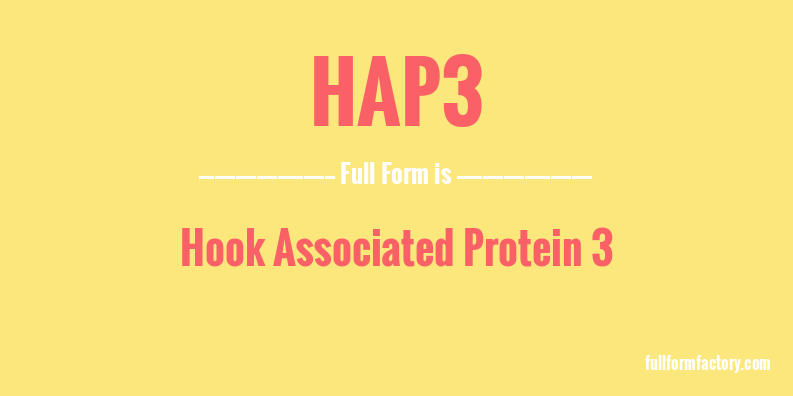 hap3-full-form