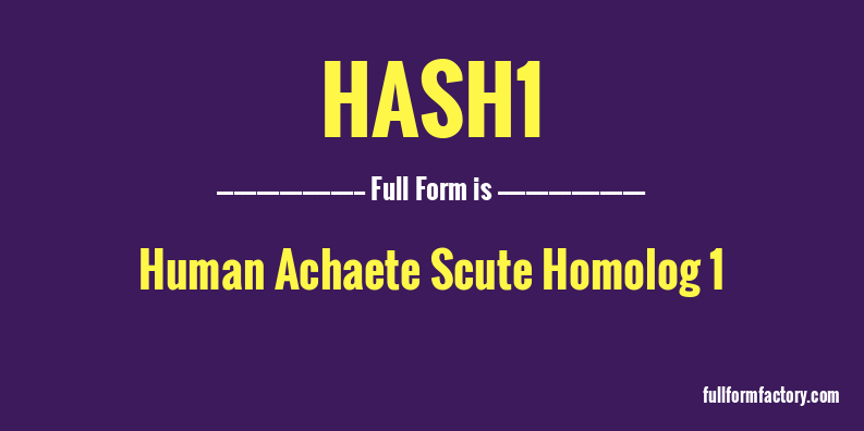 hash1-full-form
