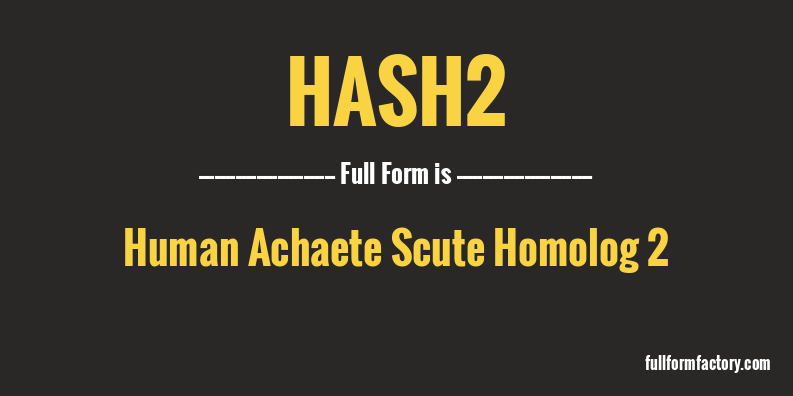hash2-full-form