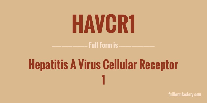 havcr1-full-form